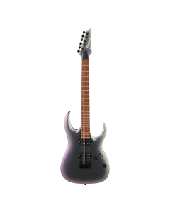 IBANEZ RGA42EX Električna gitaraSo cheap