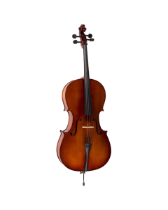Valencia CE 160 4/4 violončelo - CE 160G 4/4So cheap