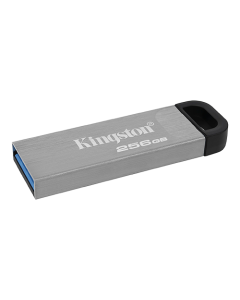 KINGSTON USB Flash memorija 256GB DTKN/256GBSo cheap