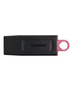 KINGSTON USB Flash memorija 256GB DTX/256GBSo cheap