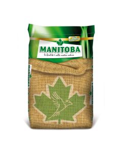 MANITOBA Semi di Lino Marrone 20 kg Laneno semeSo cheap