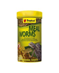 TROPICAL Meal Worms Osušeni crvići 30 g Hrana za reptile i ribeSo cheap