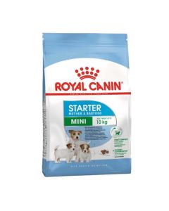 ROYAL CANIN Mini Starter 1 kg Hrana za štence i majke malih rasaSo cheap